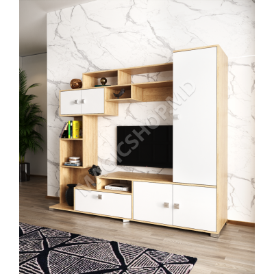 Living ML - 11(2100)